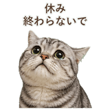 852449025