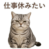 852449026