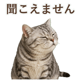 852449027