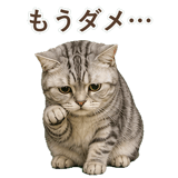 852449028