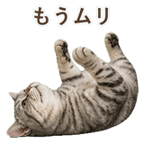 852449030