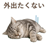 852449031