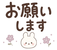 852452042