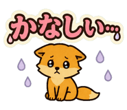 852452762