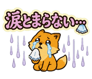 852452782