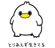 852453369