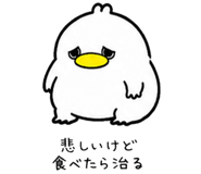 852453372