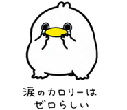 852453373