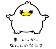 852453384