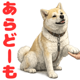 852454115