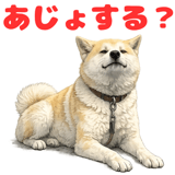 852454120