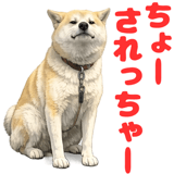 852454131