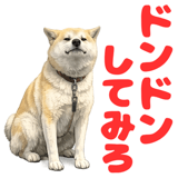 852454147