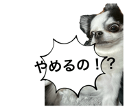 852454194