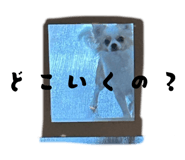 852454201