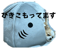 852454205