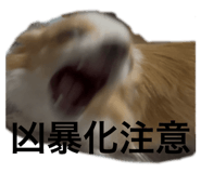 852454215