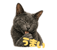 852455071