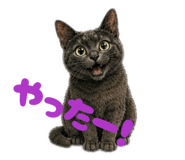 852455088