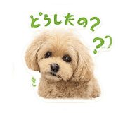 852455465