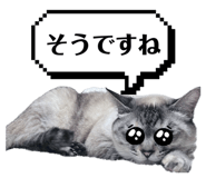 852456467