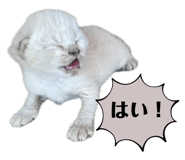 852456469