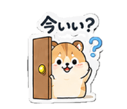 852457651