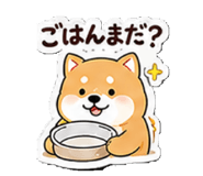 852457660