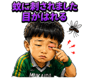 852457673