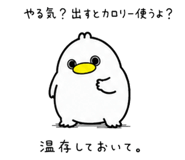 852457755