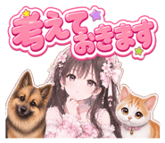 852458116
