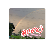 852459452