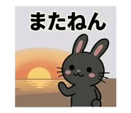 852460427