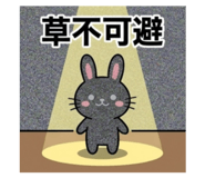 852460434