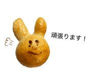 852460513
