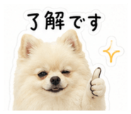 852460812