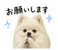 852460816