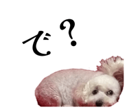852461874