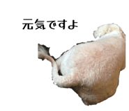 852461877