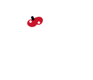 852462261