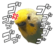 852469803