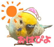 852469808