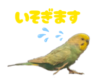 852469811