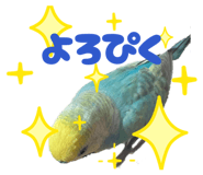 852469815