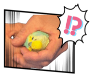 852469820