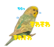 852469823
