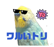 852469826