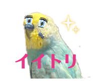 852469827