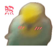 852469839