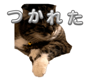852471123